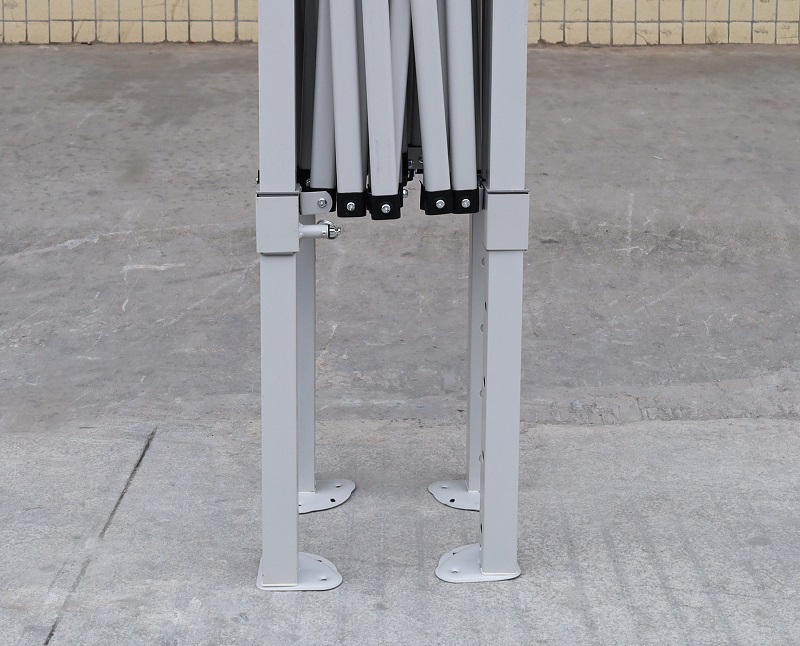 6.大王(底部).JPG